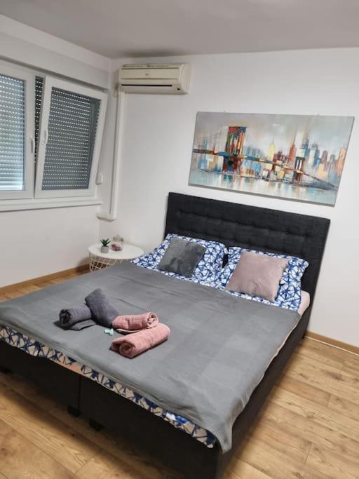 Studio Apartman Bojana 34M2,Free Wifi,Parking Сісак Екстер'єр фото